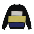 Rib Knit em torno do pescoço Homens Intarsia 100% Cashmere Sweater